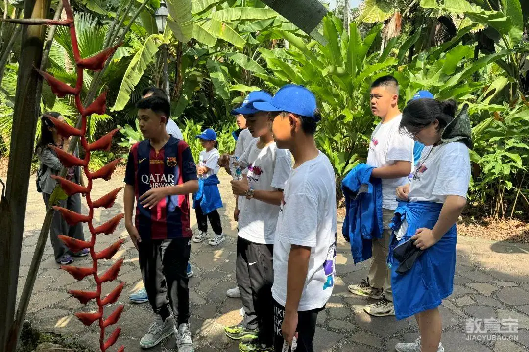 篮球训练直播_2